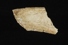 Fragment de boomerang magique avec dessin gravé