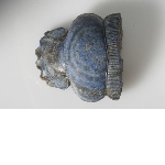 Fragment de scarabée 'de Bahariya'