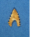 Denticulate arrowhead with concave base