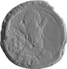 Drahm/drachme Shapur II (309-379)