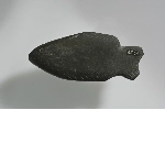 Fish-shaped palette