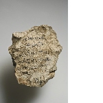 Demotic ostracon with tax receipt