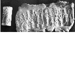 Cylinder seal with two human figures
