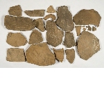 Amphora fragments