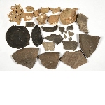Various fragments including a plate and lid