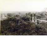 Palenque - Palace's overview